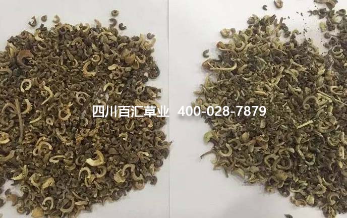 草種花籽 草種花籽